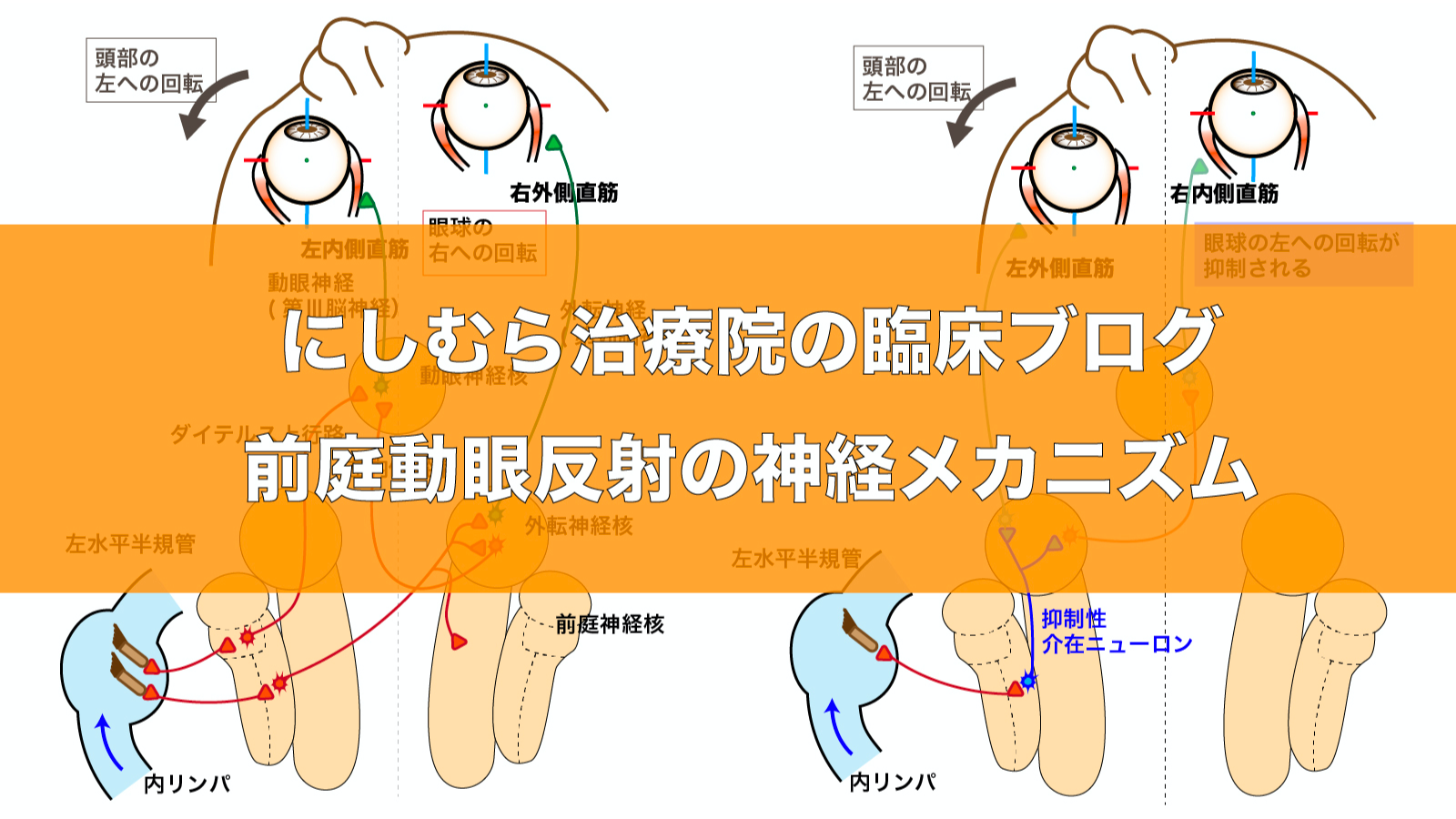 めまい ふらつき にしむら治療院 針 灸 徒手療法 めまい ふらつき にしむら治療院 針 灸 徒手療法
